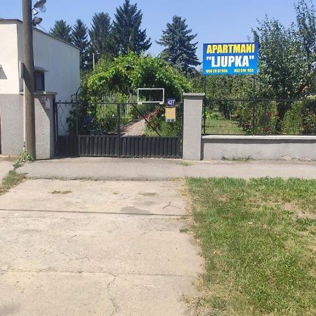 Apartment Ljupka Pančevo Exteriér fotografie