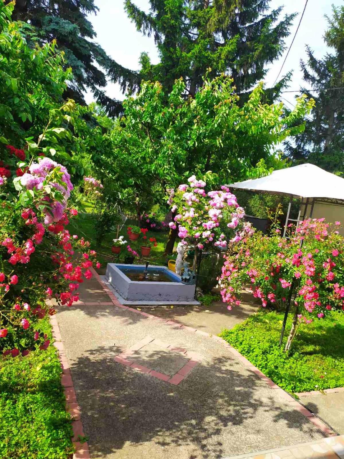 Apartment Ljupka Pančevo Exteriér fotografie