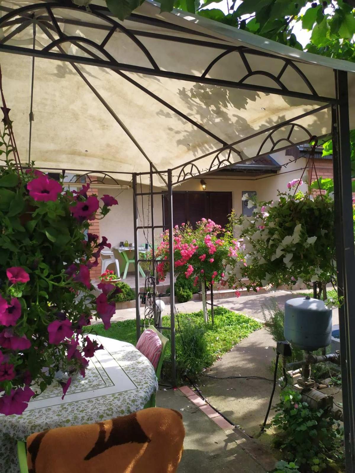 Apartment Ljupka Pančevo Exteriér fotografie