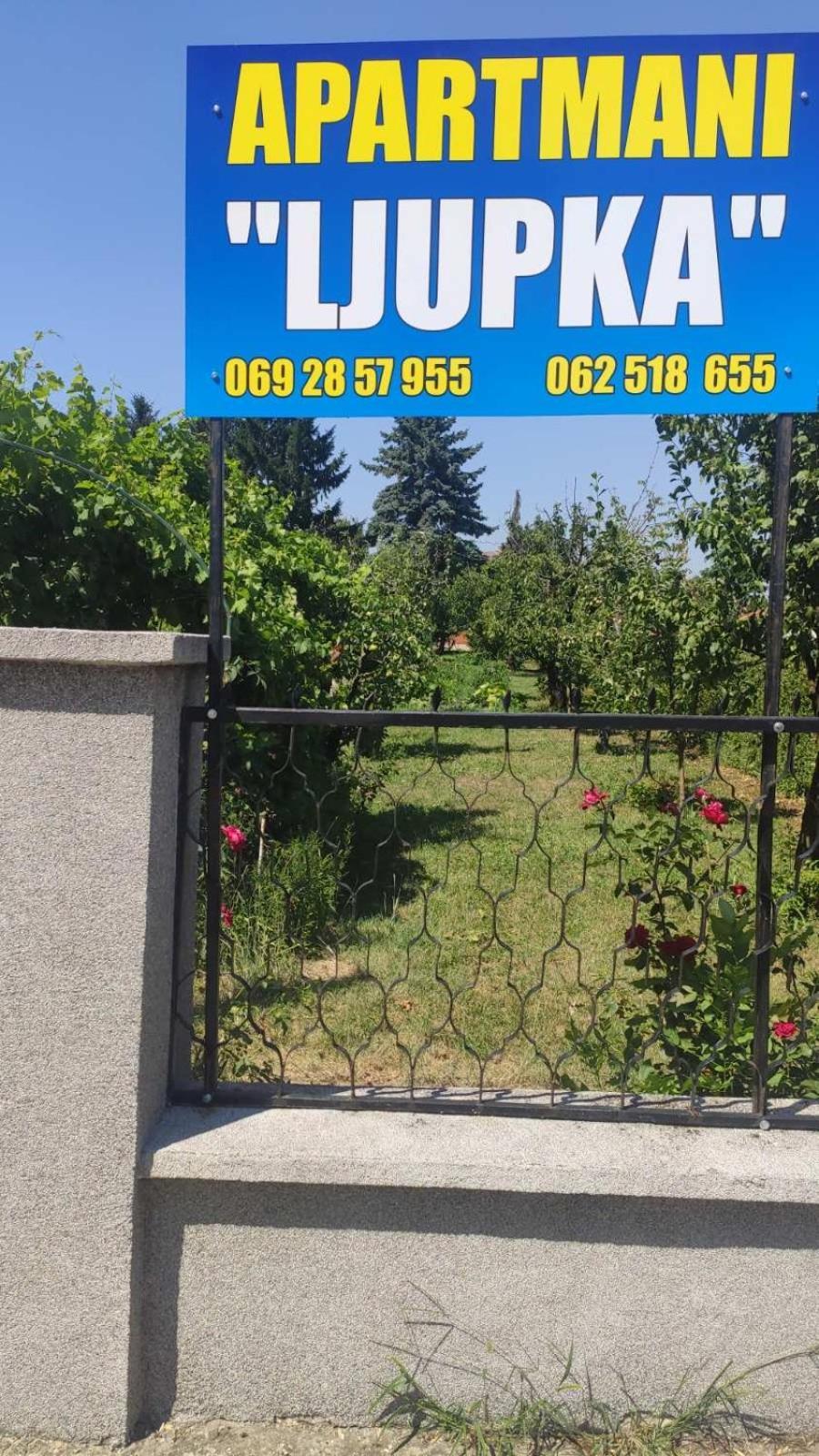 Apartment Ljupka Pančevo Exteriér fotografie