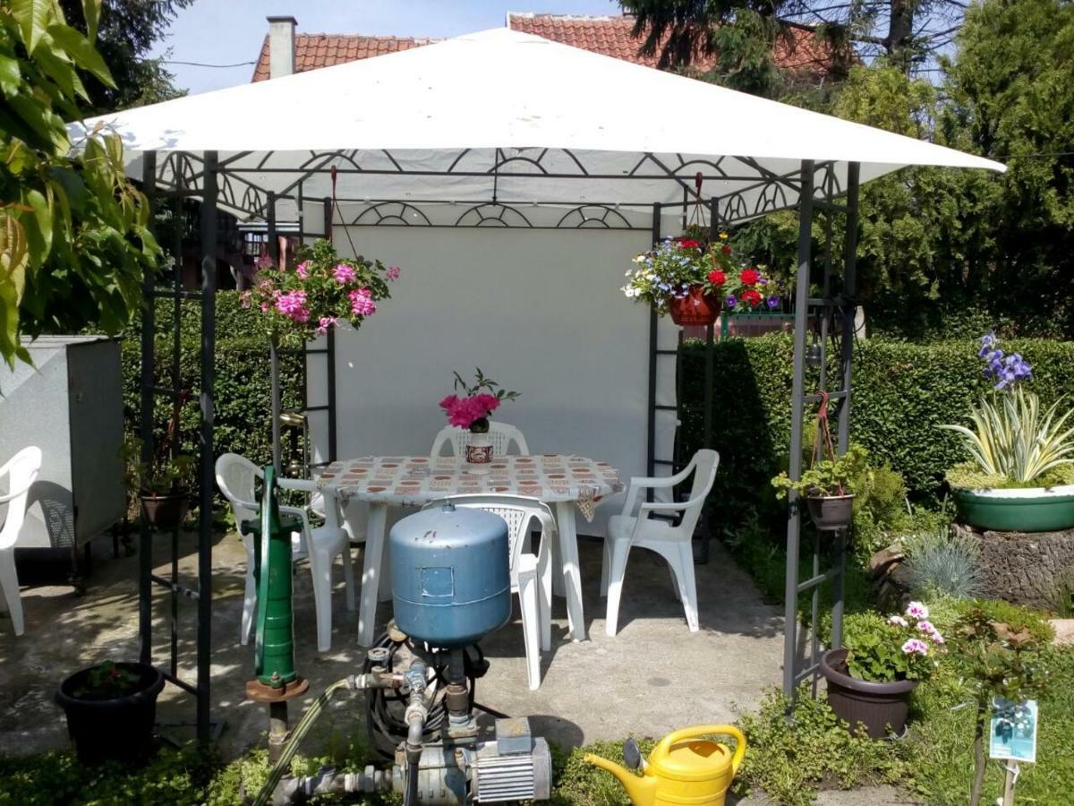 Apartment Ljupka Pančevo Exteriér fotografie