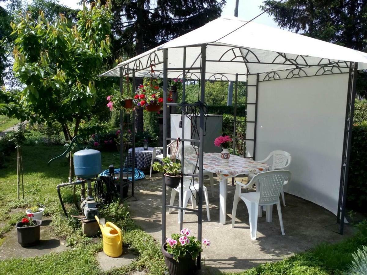 Apartment Ljupka Pančevo Exteriér fotografie