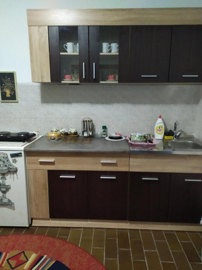 Apartment Ljupka Pančevo Exteriér fotografie