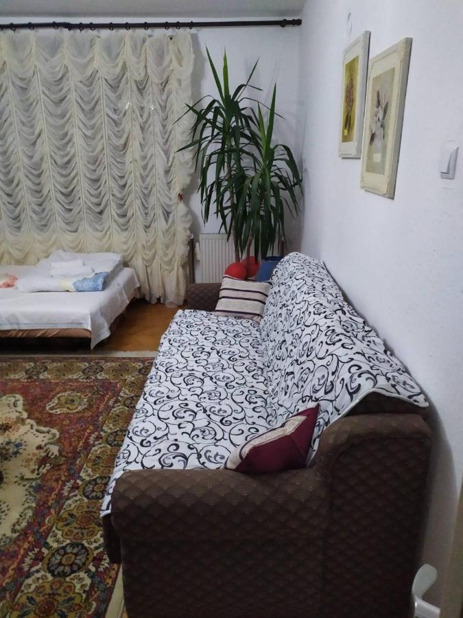 Apartment Ljupka Pančevo Exteriér fotografie